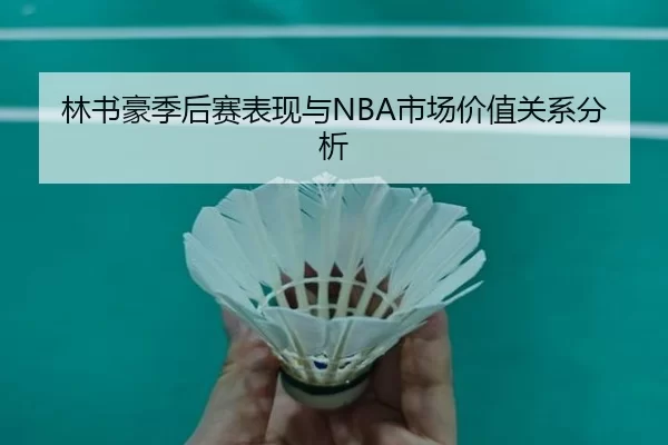 林书豪季后赛表现与NBA市场价值关系分析